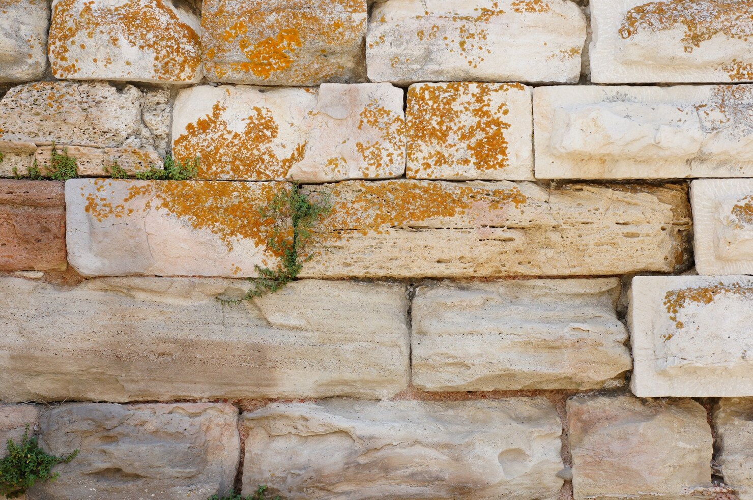 How to Repair and Paint Cinder Block Walls in Phoenix, Arizona