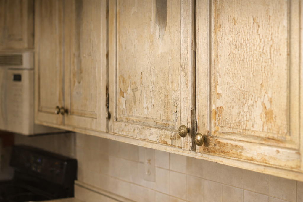 ChatGPT Image Mar 7, 2026, 06 31 34 PM